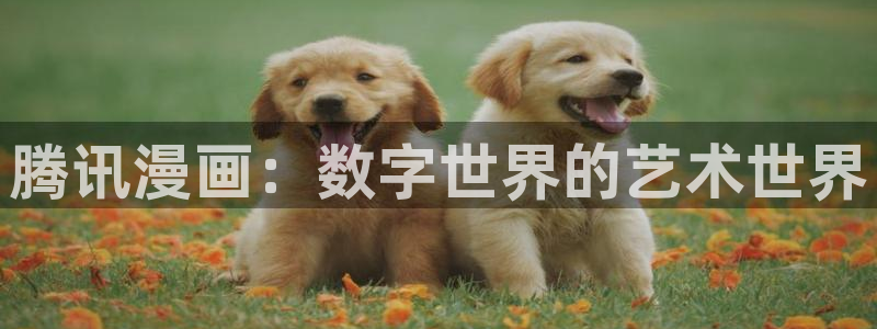 食戟之灵第五季虫虫漫画